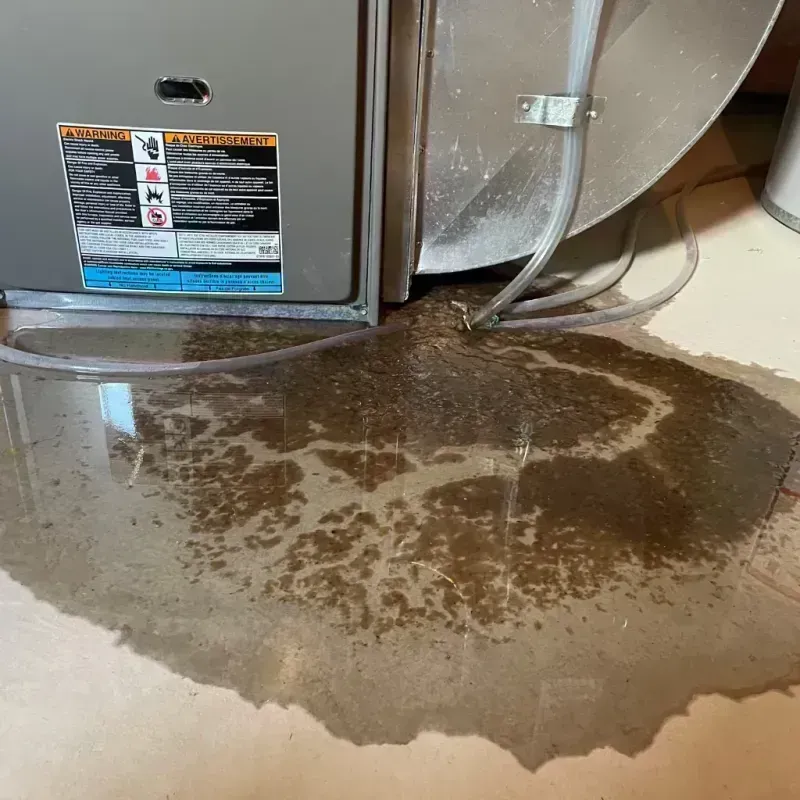 Appliance Leak Cleanup in Charlack, MO